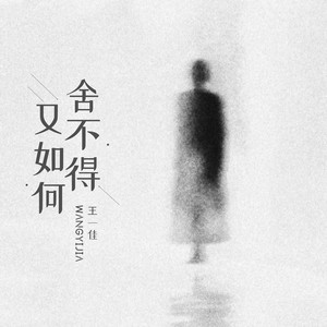 大风在刮大雪在下(对唱版) - Single by 王一佳| Spotify
