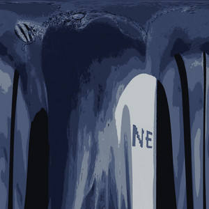 Vasylets — Ne
