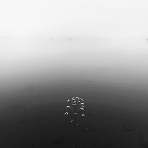 Quiet Distance by Glaeta