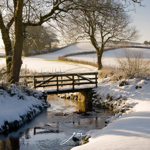 Melting Snow by Natura Nota