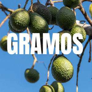 GRAMOS by LOKASO