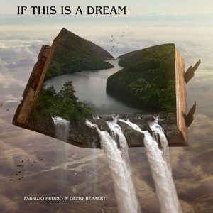 If this is a dream by Fabrizio Budino, Geert Bekaert