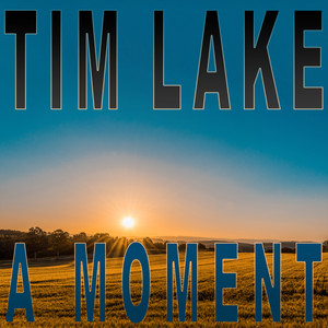 The Achiever's Ball by Tim Lake