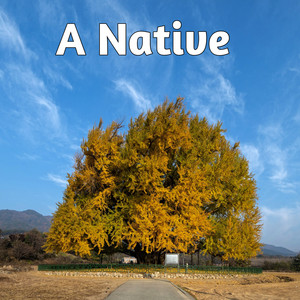 A Native