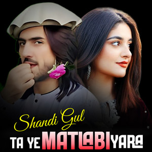 Shandi Gul - Ta Ye Matlabi Yara