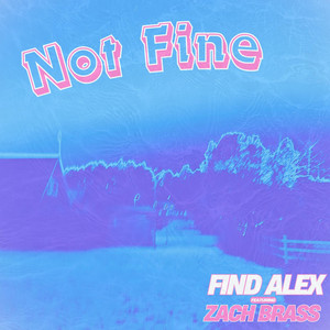 Not Fine