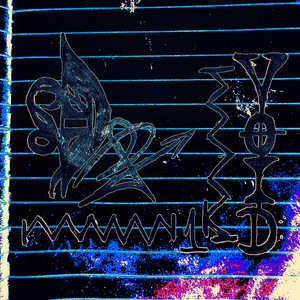 SD — VOID