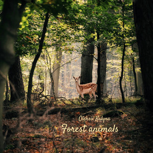 Forest animals