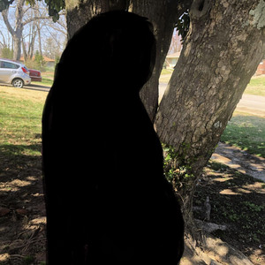 i'm sorry i didn't take pictures with you under the magnolia tree