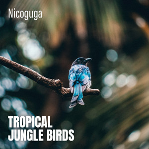 Tropical Jungle Birds by Nicoguga