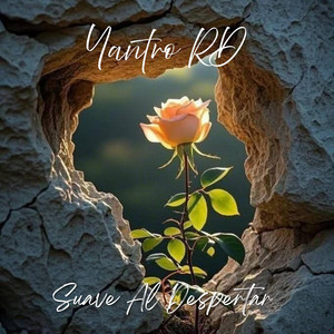 Suave Al Despertar by Yantro RD