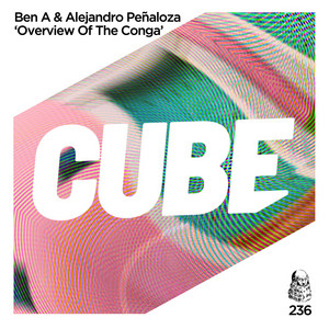 Overview of the Conga - The Cube Guys Radio Edit