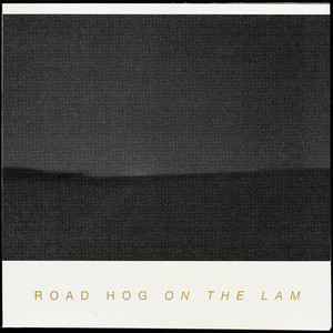 On The Lam cover art