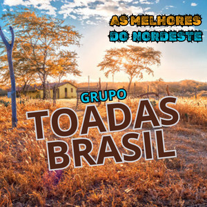 Grupo Toadas Brasil - Recordar o Passado