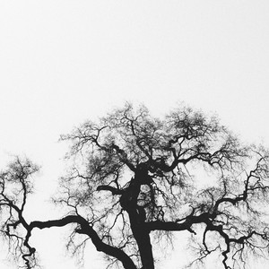 20 Karam - Lambi Judai