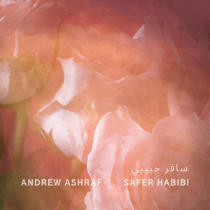 Safer Habibi