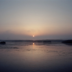 A new day by Moose
