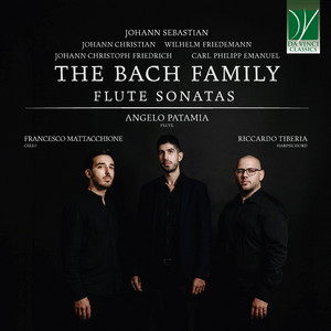 Sonata in E Minor, FK 52: I. Allegro ma non tanto by Wilhelm Friedemann Bach, Angelo Patamia, Riccardo Tiberia, Francesco Maria Mattacchione
