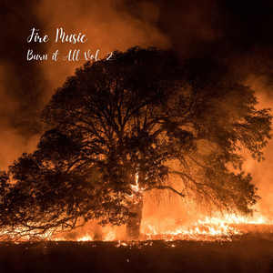 Fire Music: Burn it All Vol. 2 album