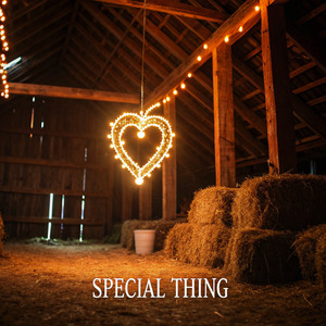 Special Thing by Kaito Jay