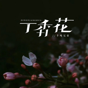 丁香花 - 烟嗓版 by 半吨兄弟