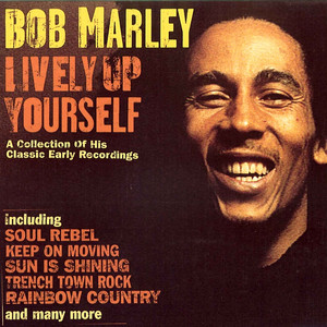 Marley Bob Yourself 7’ Wailers Up Lively