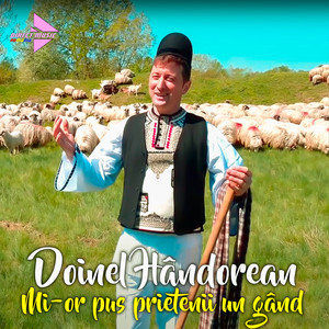 Doinel Hândorean - Mi-or pus prietenii un gând