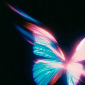 Prismatic Butterfly by Temporal Myth