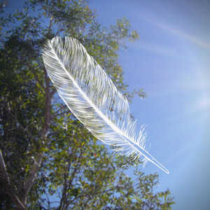 This Place We Call Home