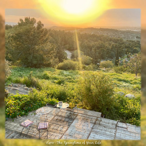The Springtime of Your Life by Kuper, Moylan