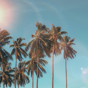 Stay Through Sunday by Rune Castellan