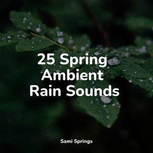 25 Spring Ambient Rain Sounds album