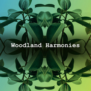 Woodland Harmonies