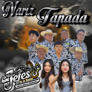 Nariz tapada