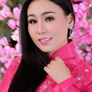 Lưu Ánh Loan Collection album