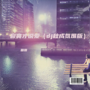 Yuan Tian - 寂寞才说爱 (dj秋成氛围版)