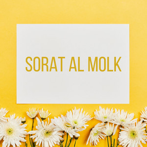 Sorat Al Molk by جمعان العصيمي