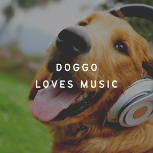 Doggo Loves Music