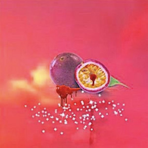 Portada de GinPassion