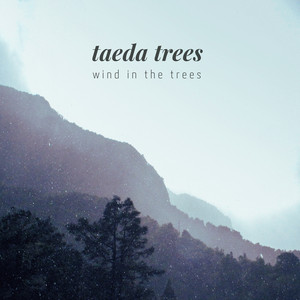 Wind In The Trees by Taeda Trees