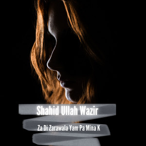 Shahid Ullah Wazir - Pa Wachi Shundi Mi Sari Shundi