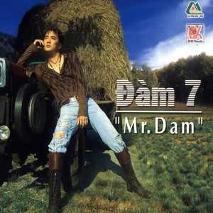 Mr. Đàm cover