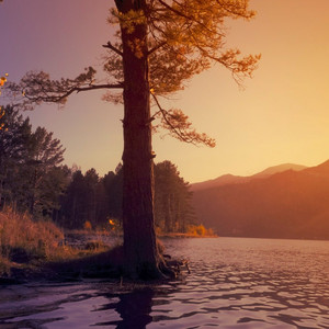 DJ EV - Natureza Obra Divina