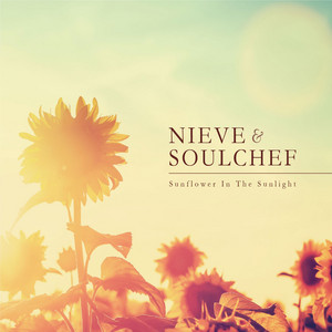 Sunflower in the Sunlight album