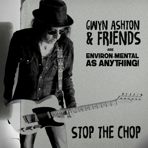Stop The Chop by Gwyn Ashton