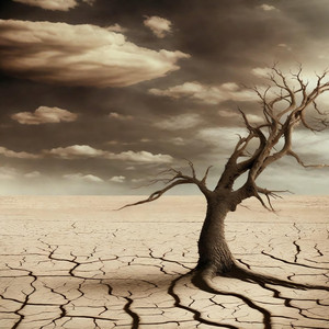 Synfyfyrio Gofod one