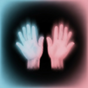Hands Open, Heart Aligned by Stephen Zajonc
