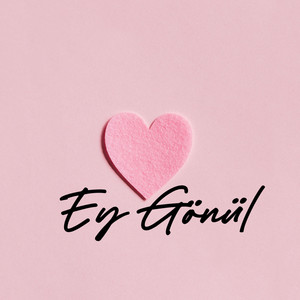 Erman & Devran