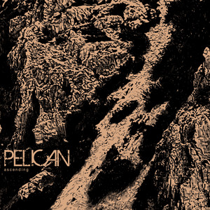 Cascading Crescent — Pelican