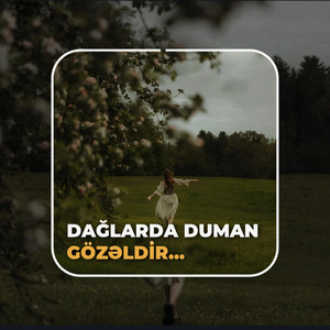 Səni Mən Yaman Sevirəm by Qelpe
